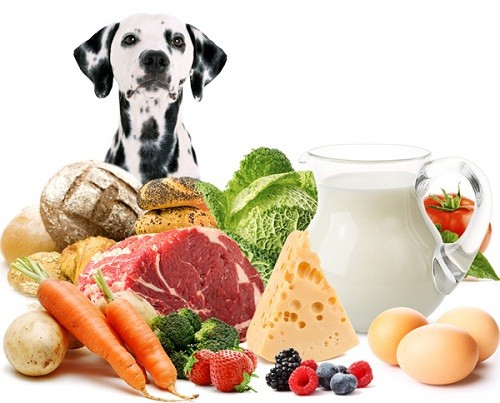 Кормление собак натуральными продуктами